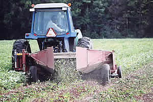 Moving vines 8-10 days before digging with plow.